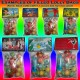 Personalised Christmas Lolly Bags