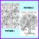 Personalised Adult Colouring - Flowers and Plants