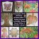 Personalised Adult Colouring - Animals