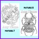 Personalised Adult Colouring - Insects and Small Animals