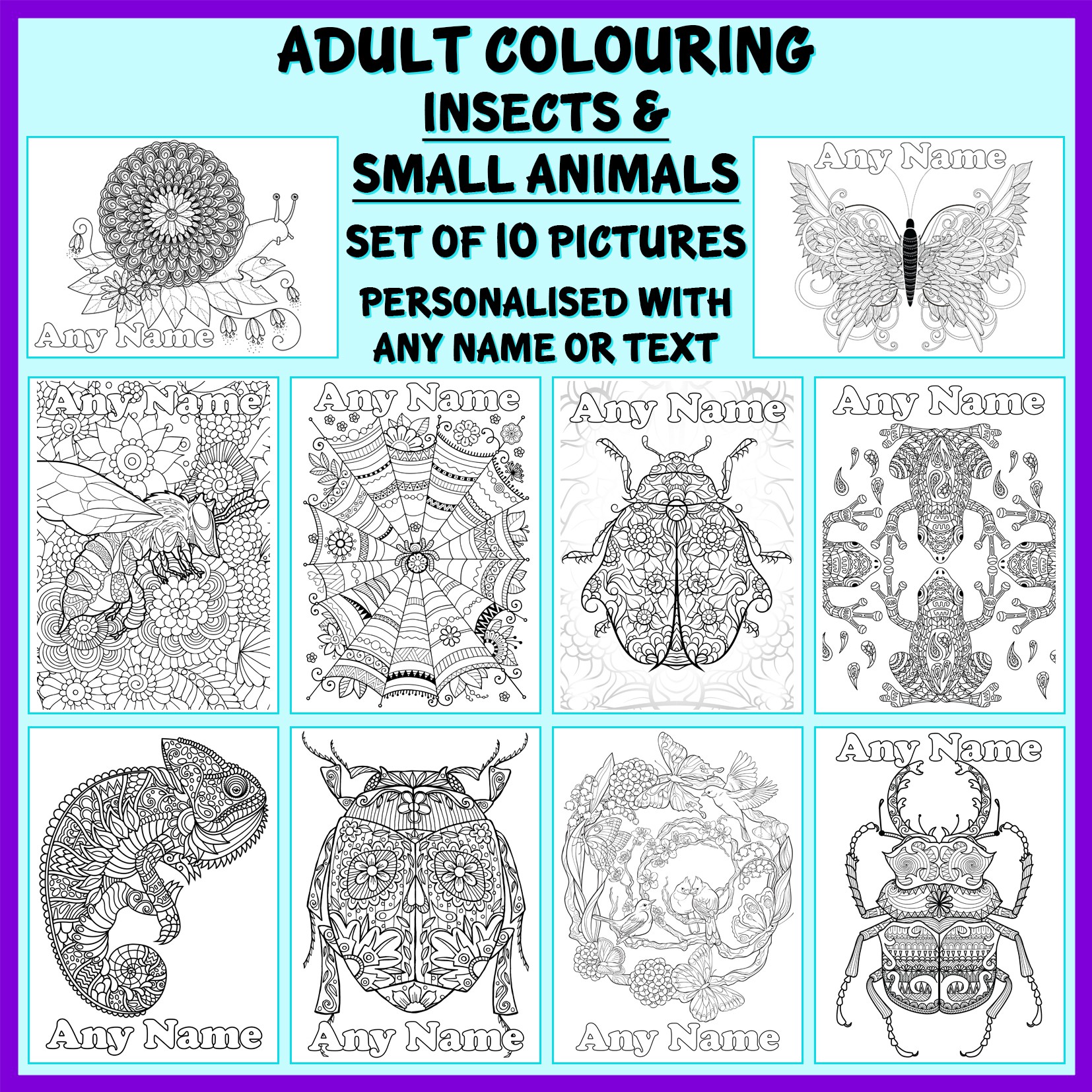 Personalised Adult Colouring - Insects and Small Animals - Personalise It  Products