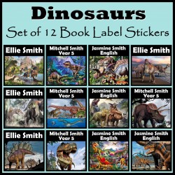Personalised Dinosaur Book Labels